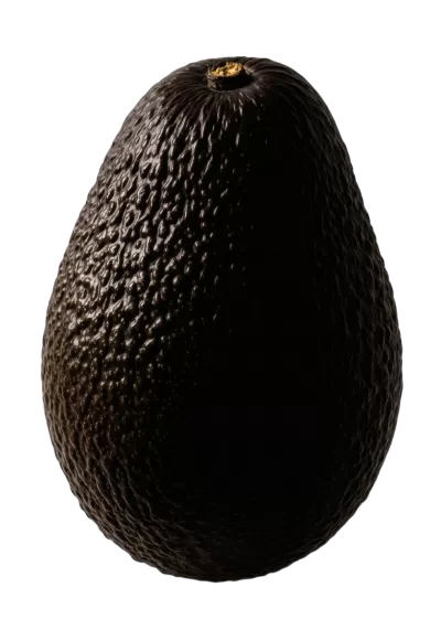 Imagen PNG para descargar